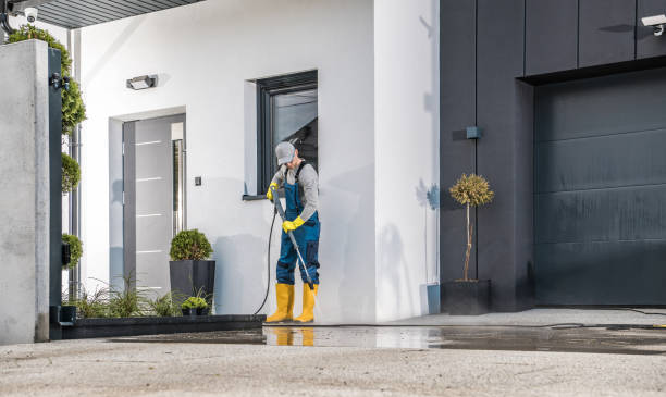 Best Sidewalk and Walkway Cleaning  in , MO